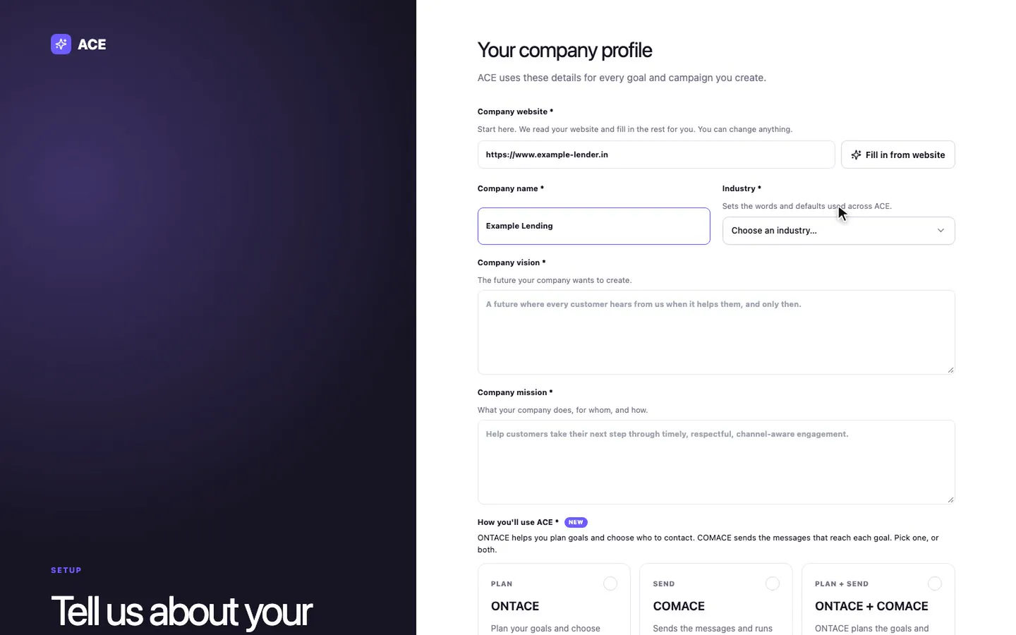 The company profile form: website, company name and industry